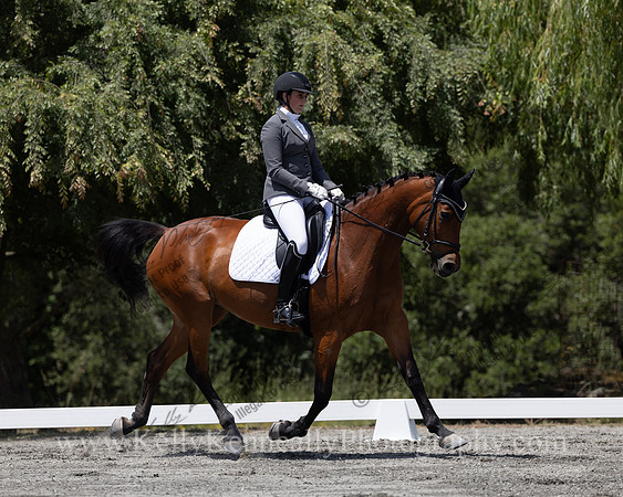 FFDressage23-4276