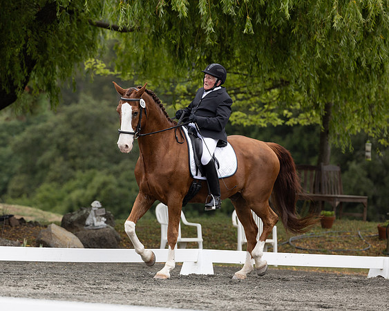 FFDressage23-1720