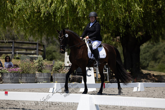 FFDressage23-00241