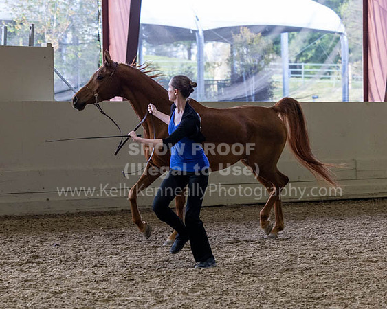PacSlopeCh23_Fri_7395