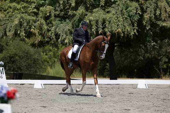 FFDressage23-3077