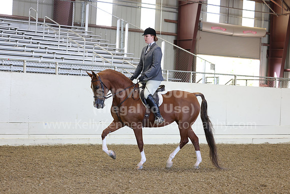 AHANC23_Thurs_0145