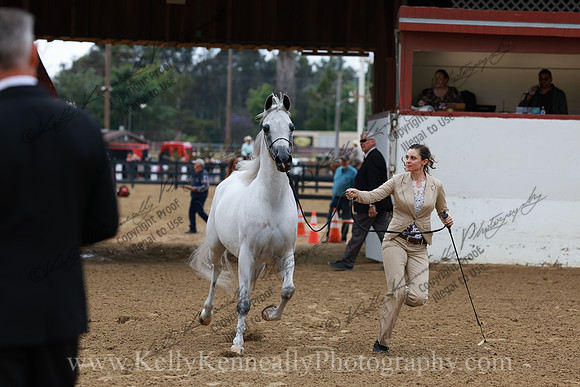R2CH23_Thurs_0849