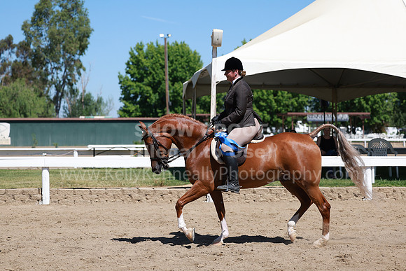 DAHA23_Fri_0761