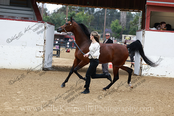 R2CH23_Thurs_0393