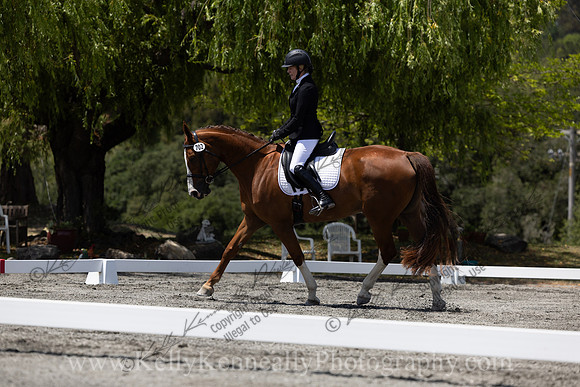 FFDressage23-4035