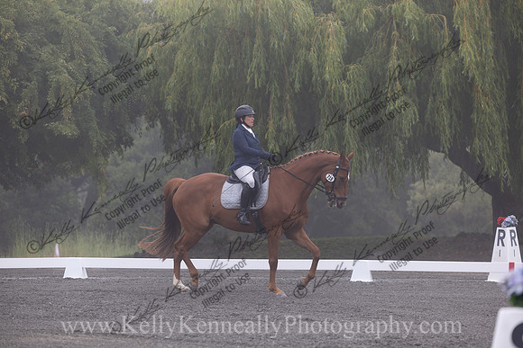 FFDressage23-0034