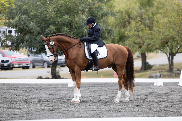 FFDressage23-2091