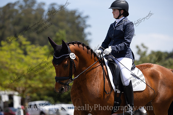 FFDressage23-00176