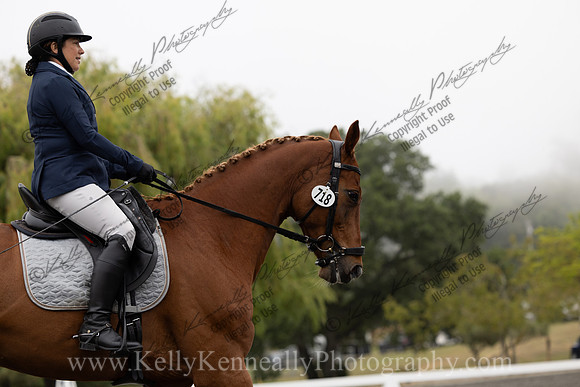 FFDressage23-0948