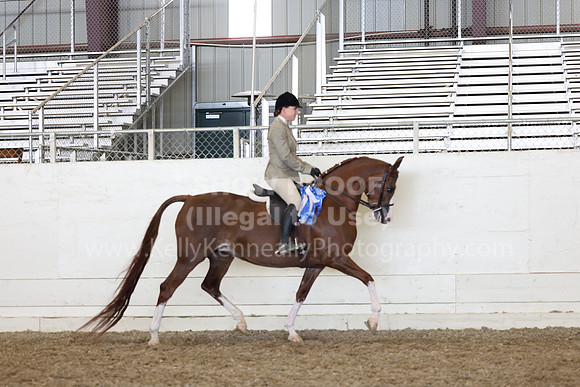 AHANC23_Wed_2003