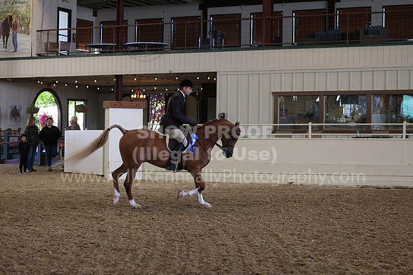 AHANC23_Wed_0414