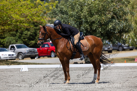 FFDressage23-4954
