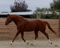 DocFall26_4273
