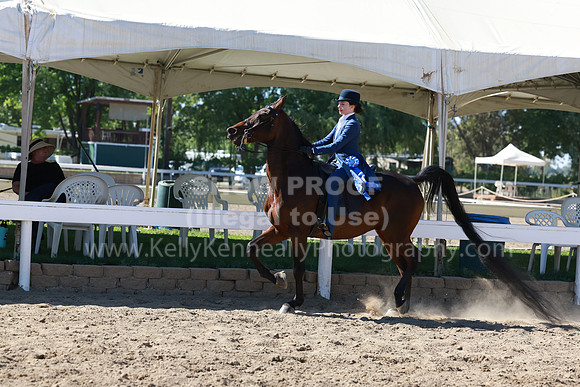 DAHA23_Sat_6894