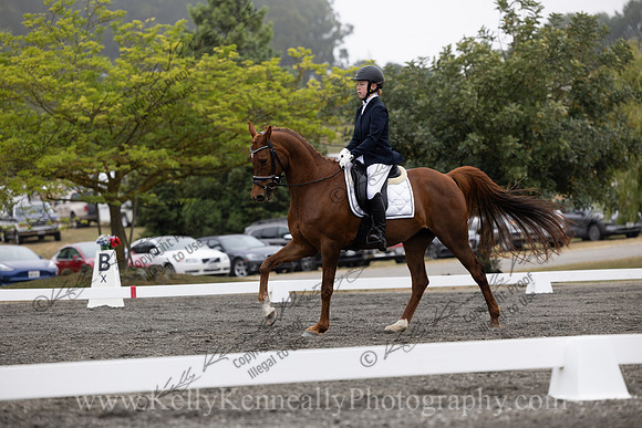 FFDressage23-0815
