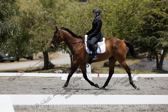 FFDressage23-3541