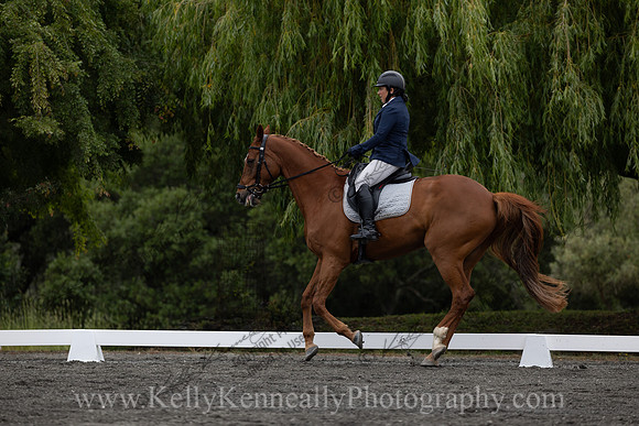 FFDressage23-1102