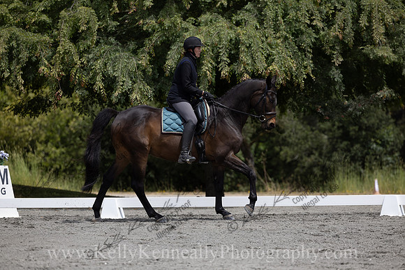 FFDressage23-2445