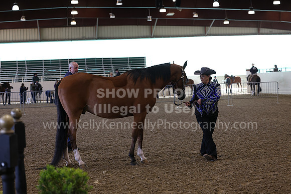 AHANC23_Wed_0035