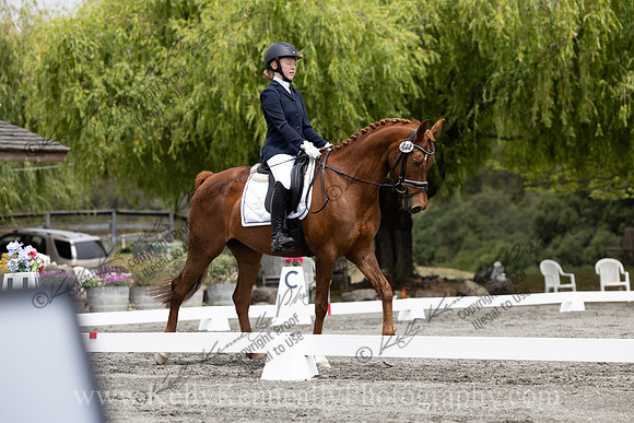 FFDressage23-2149