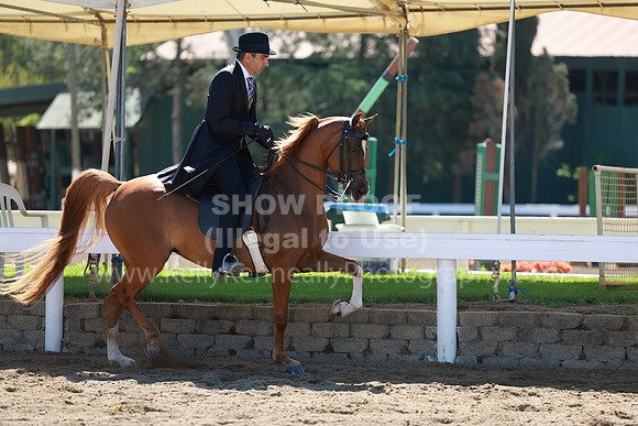 DAHA23_Fri_0477