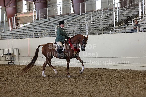 AHANC23_Thurs_2597