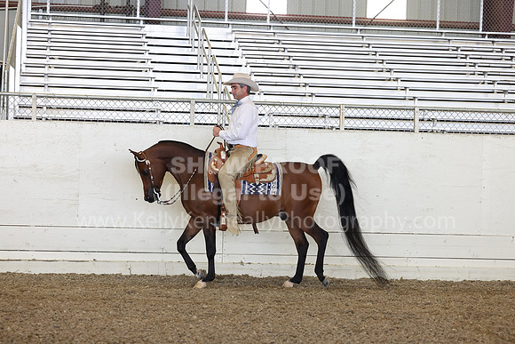 AHANC23_Thurs_2014