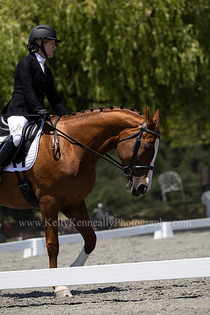 FFDressage23-00252