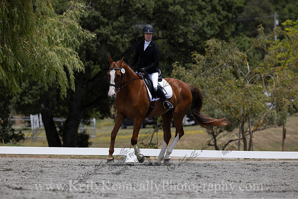 FFDressage23-2771