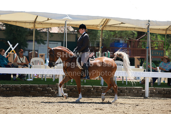 DAHA23_Fri_1338