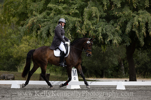 FFDressage23-00120