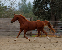DocFall26_4357