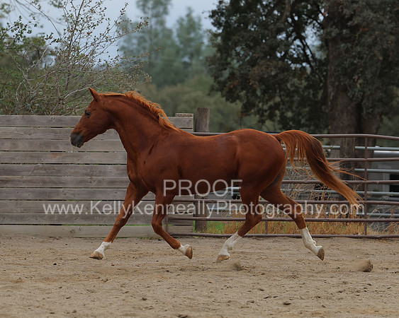 DocFall26_4357