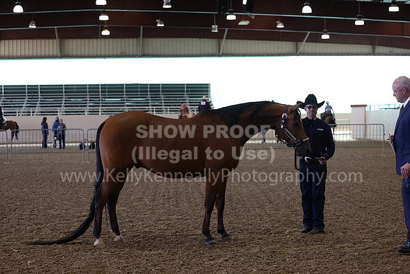 AHANC23_Wed_0020
