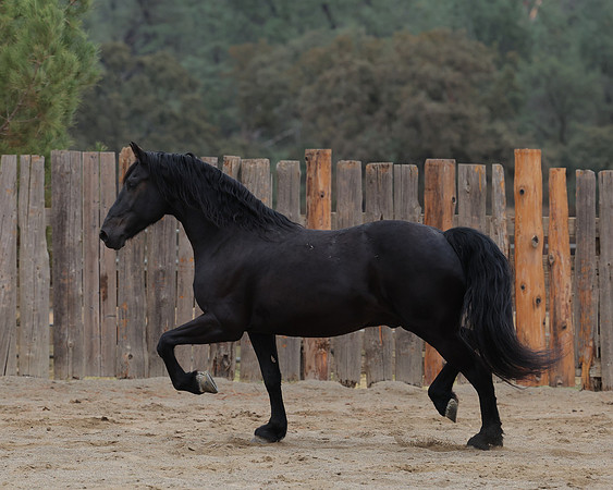 DutchFall26_2987