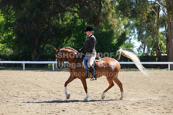 DAHA23_Fri_0711