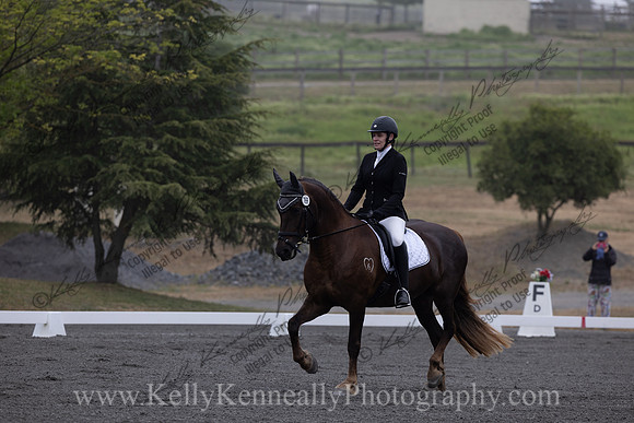 FFDressage23-00024