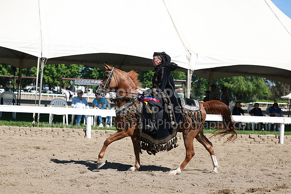 DAHA23_Sun_8829