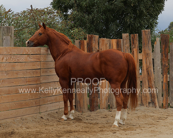 DocFall26_5629