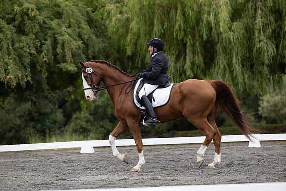 FFDressage23-1537