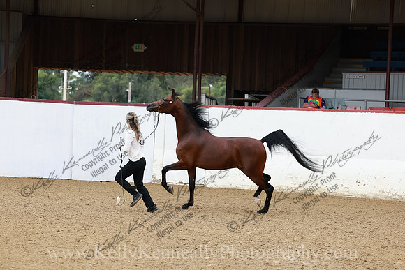 R2CH23_Thurs_0389