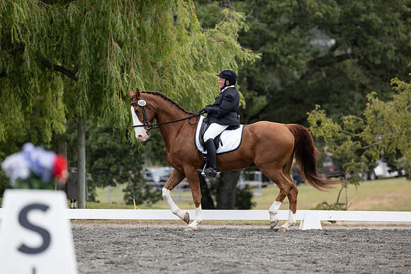 FFDressage23-1674