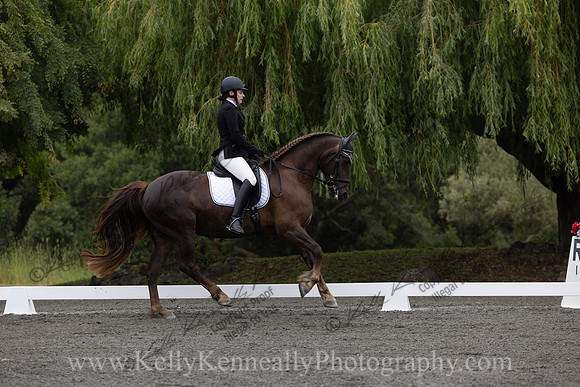 FFDressage23-00034
