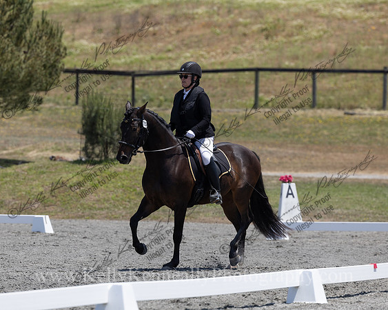FFDressage23-00205