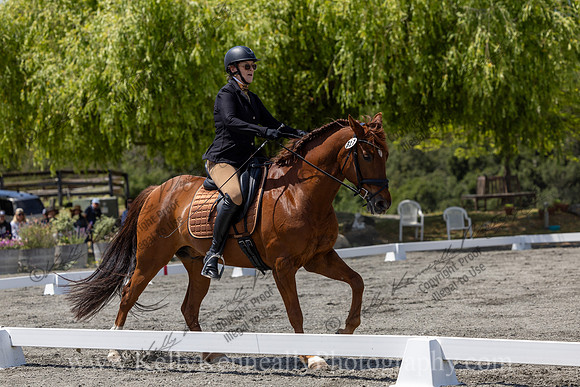 FFDressage23-4832