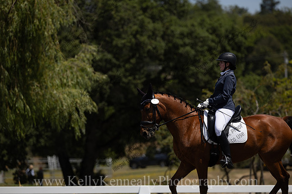 FFDressage23-00178