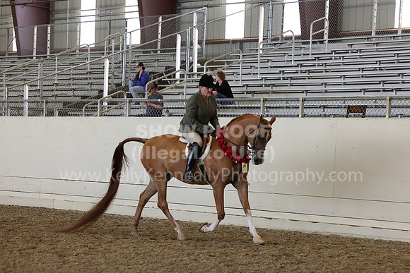 AHANC23_Thurs_2711