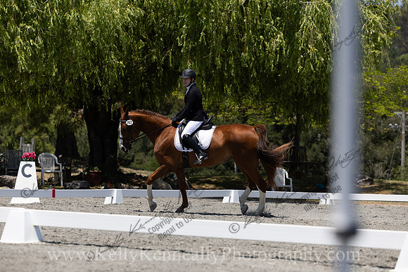 FFDressage23-00244