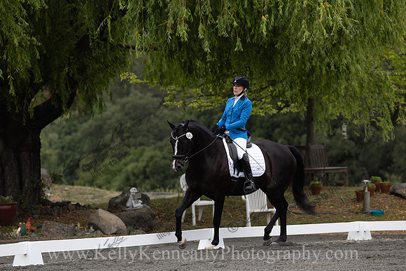 FFDressage23-00066